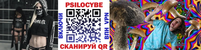 Купить где  Высоковск  Галлюциногенные грибы Psilocybine cubensis 