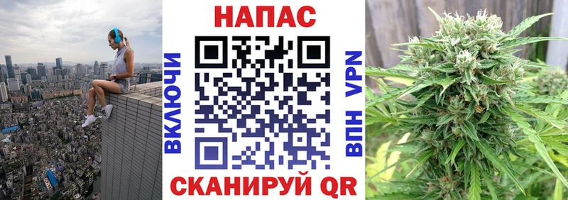 Купить закладки  Высоковск  Бошки марихуана сатива 